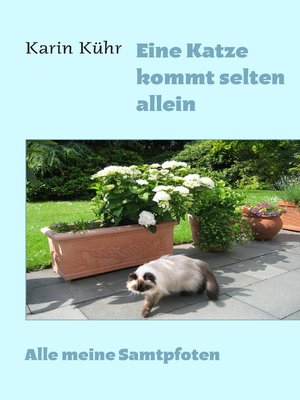 cover image of Eine Katze kommt selten allein